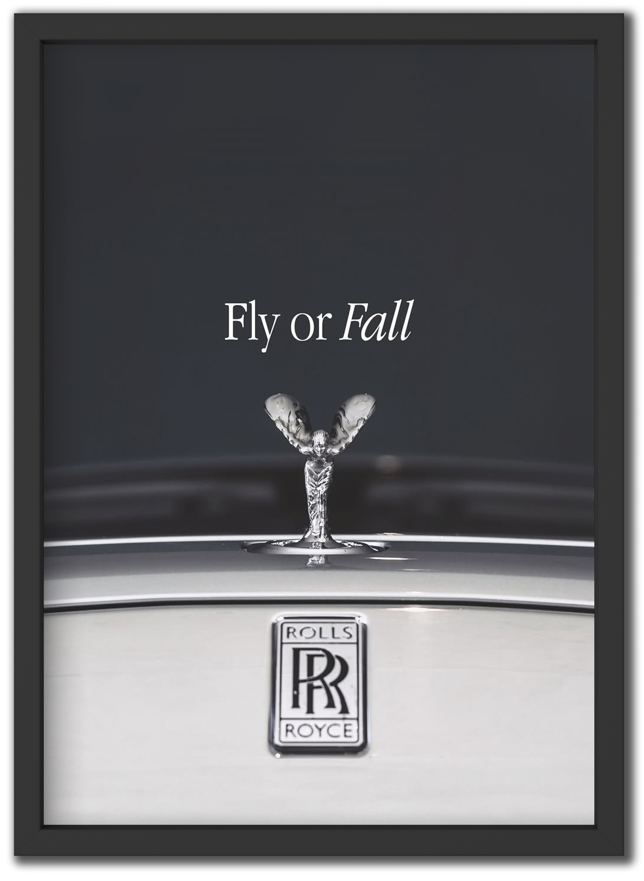 Fly or Fall