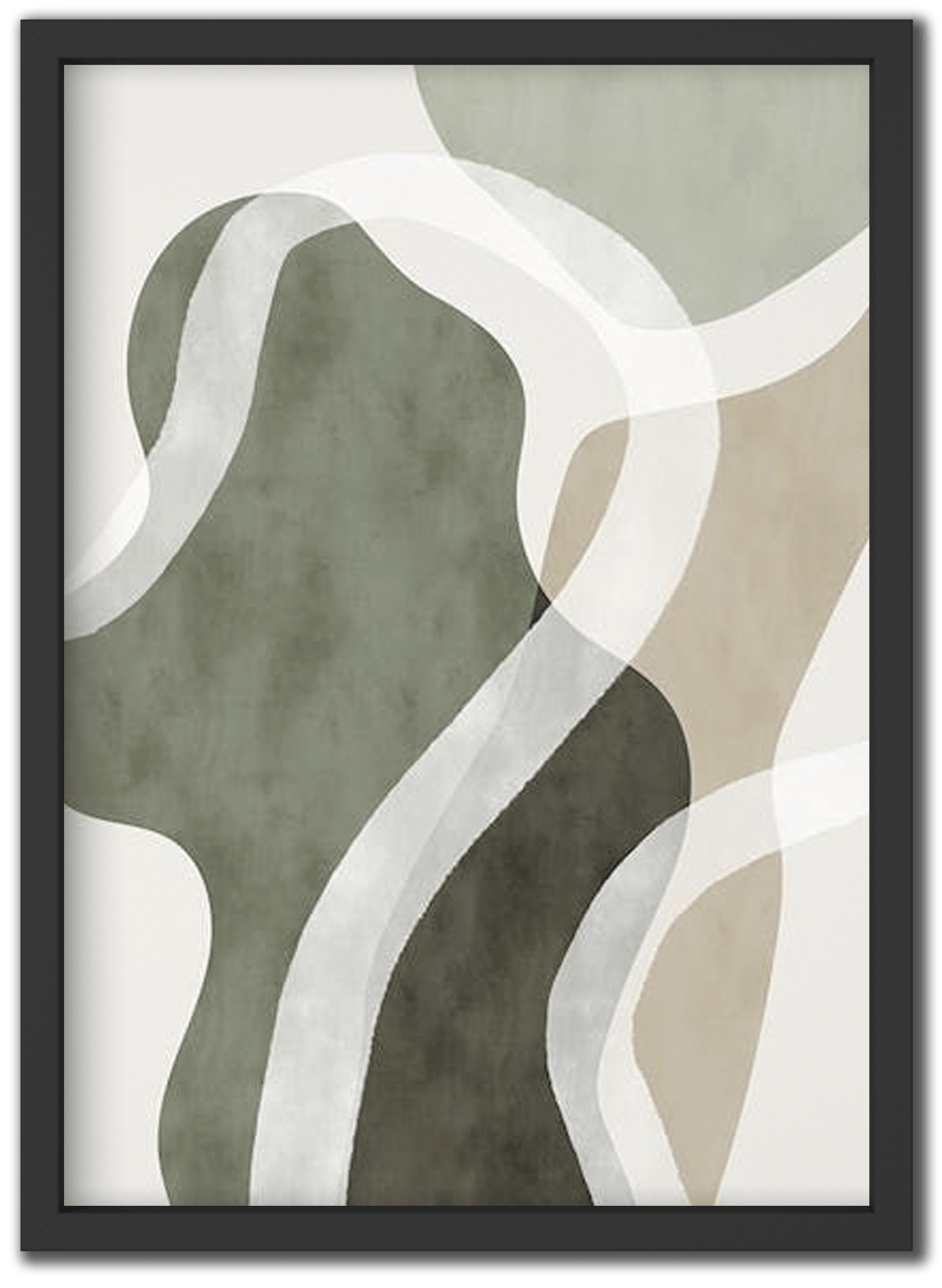 Contour Fields