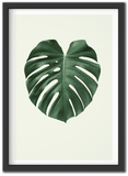 Leafscape
