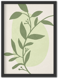 Olive Essence