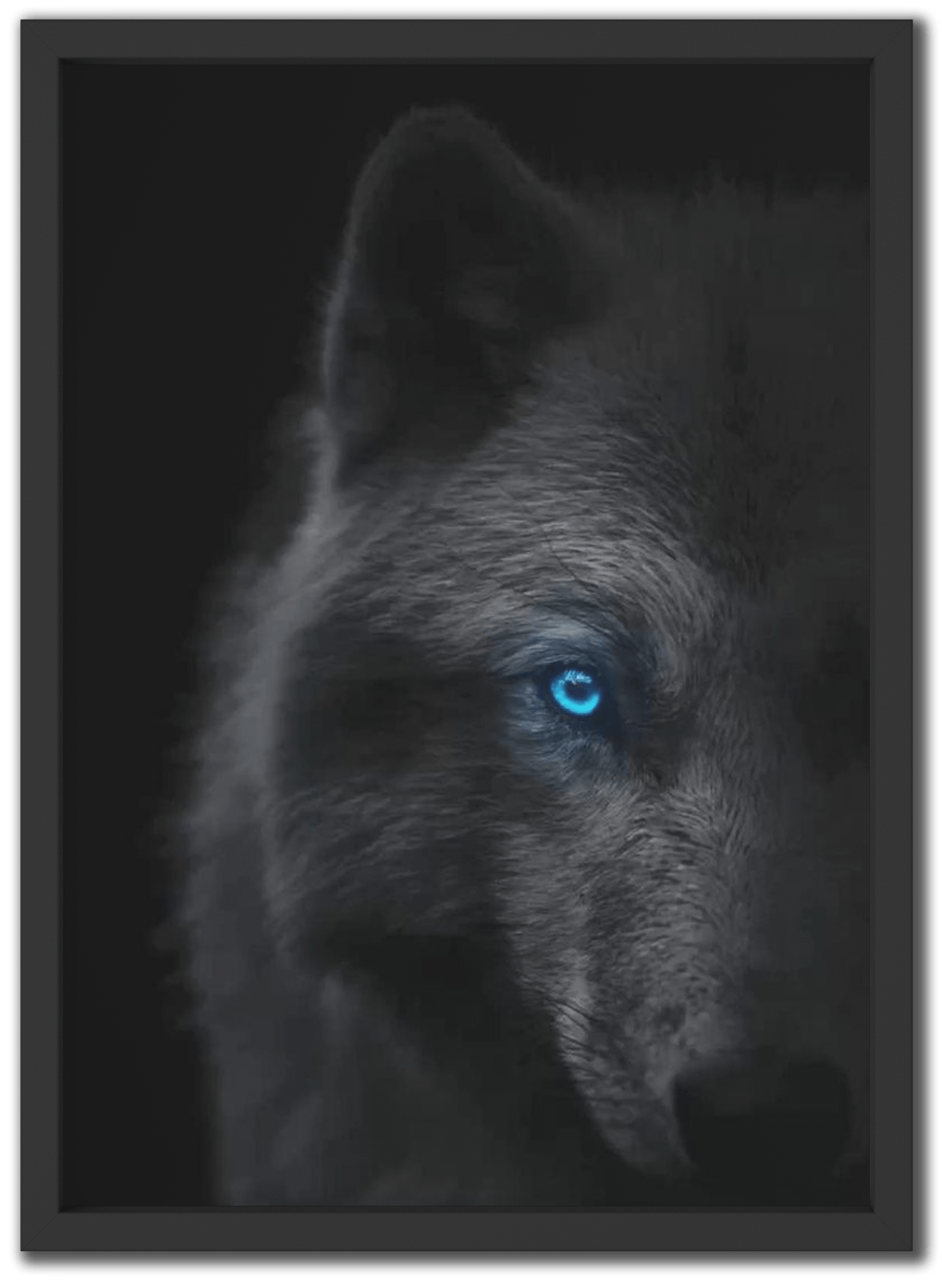 Night's Blue Eyes