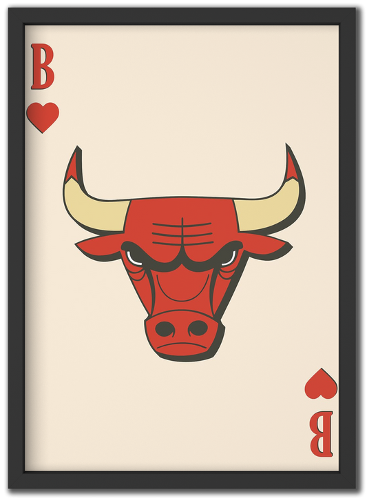 Chicago Red Bulls