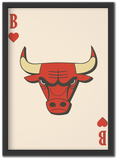 Chicago Red Bulls
