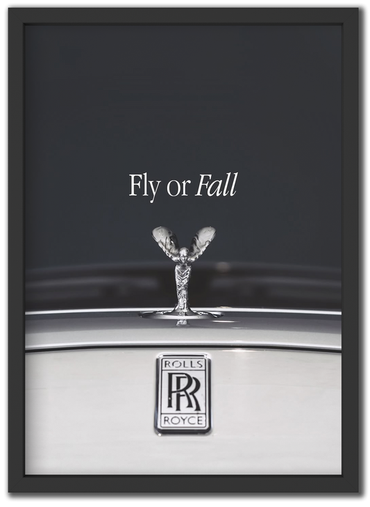 Fly or Fall