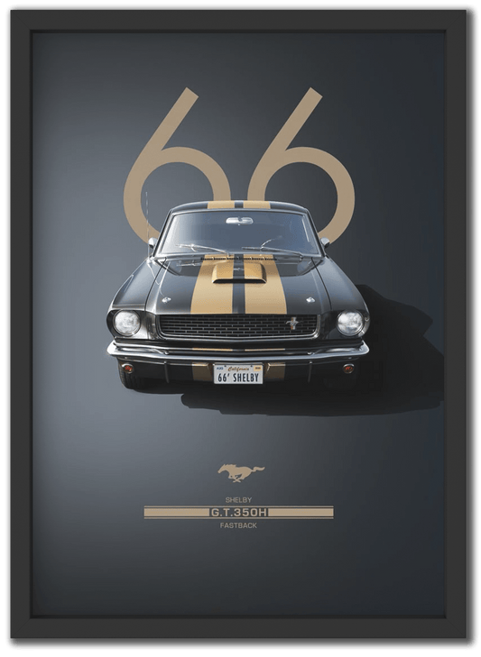 Shelby GT 350H