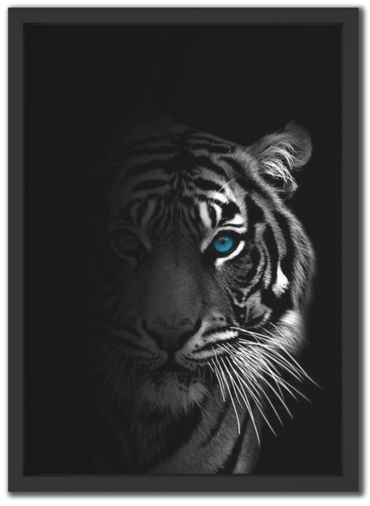 Steady Predator