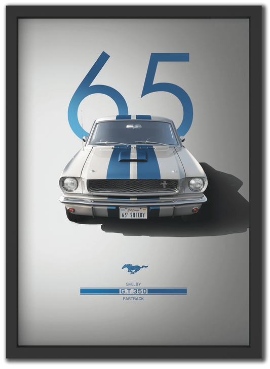 Shelby GT350