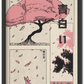 Cherry Blossom "Sakura"