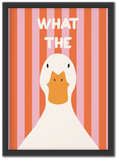 What The Duck