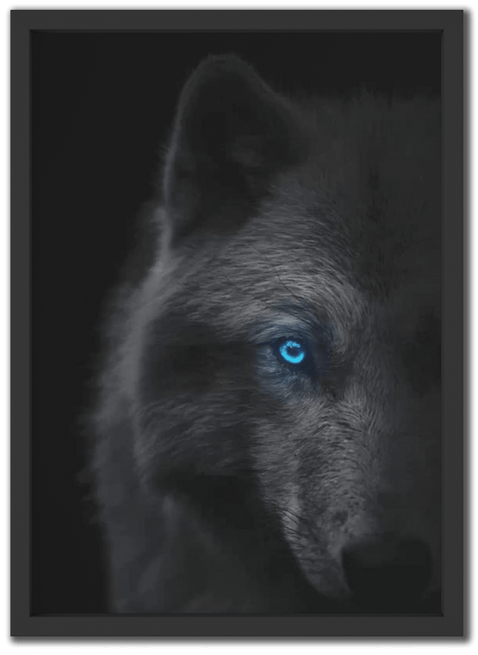 Night's Blue Eyes