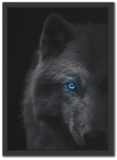 Night's Blue Eyes