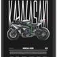 Ninja H2R