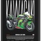 Ninja ZX-10R