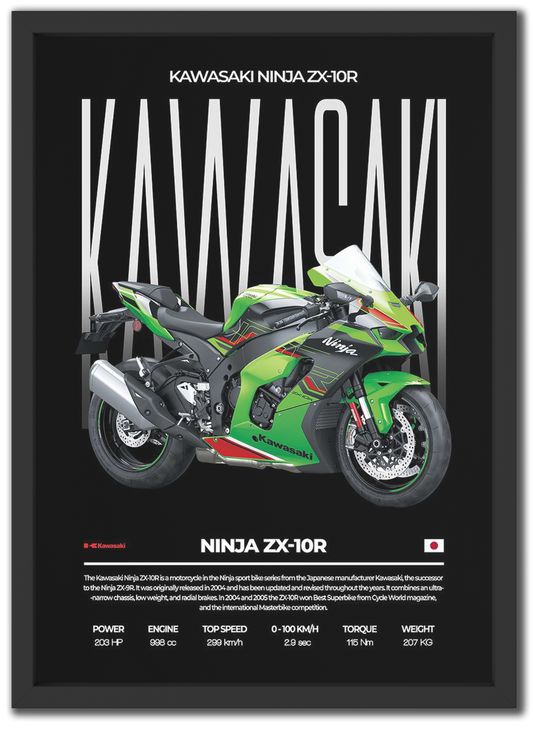 Ninja ZX-10R